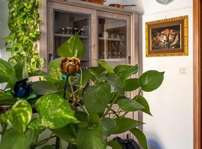 La E Bella - De Vivo Realty Península Sorrentina