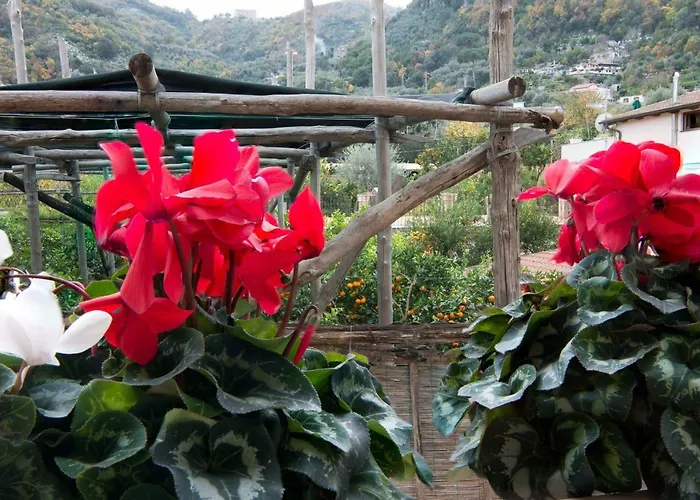 La E Bella - De Vivo Realty شقة *