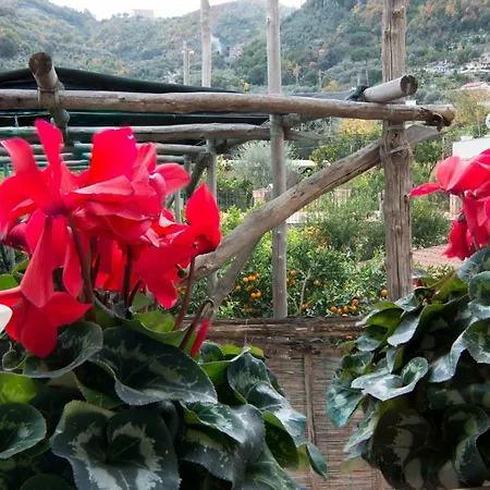 La E Bella - De Vivo Realty アパート *